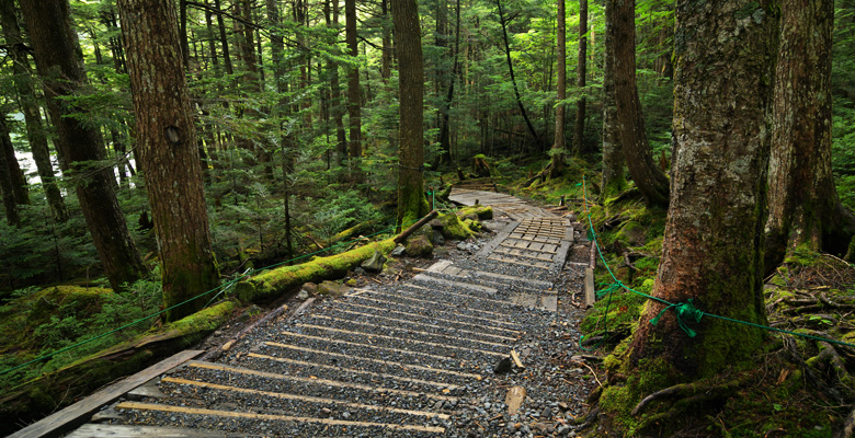 白駒池の苔の森と遊歩道