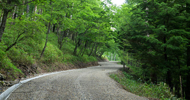 八ヶ岳の登山口周辺の林道