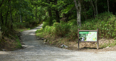 南沢遊歩道の苔の森の入り口