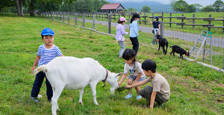 戸隠キャンプ場、ふれあい動物広場