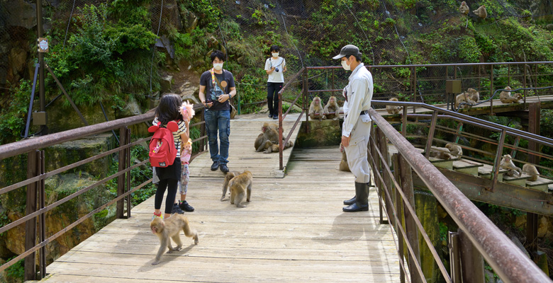 地獄谷野猿公苑