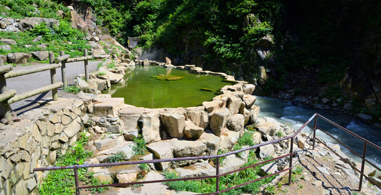 地獄谷野猿公苑、温泉に入るサル