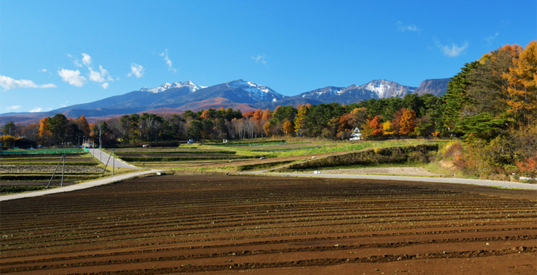 秋の八ヶ岳