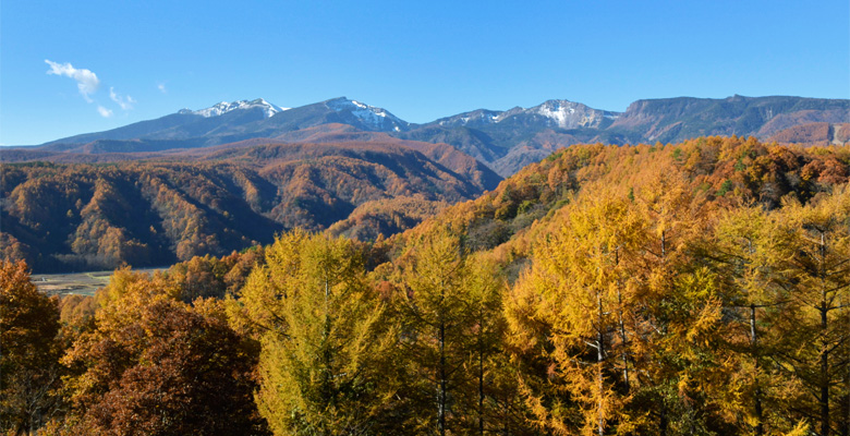 秋の八ヶ岳