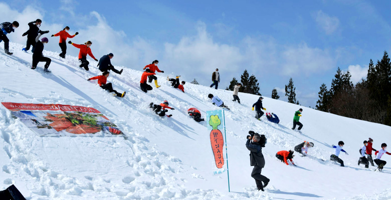 津南の雪下にんじん掘り競争