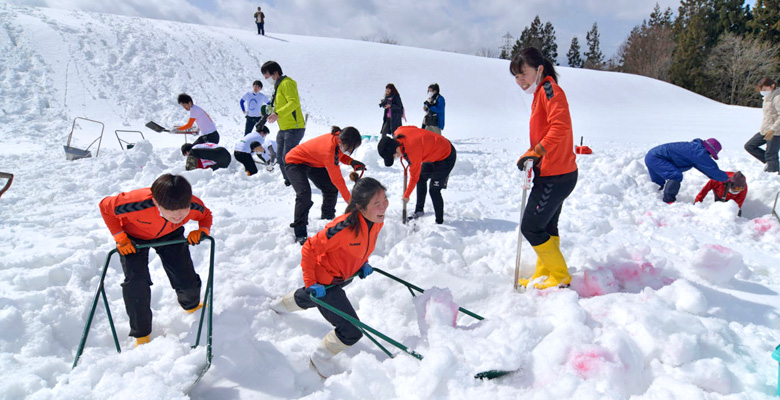 津南の雪下にんじん掘り競争