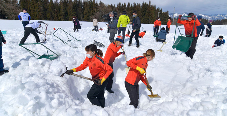 津南の雪下にんじん掘り競争