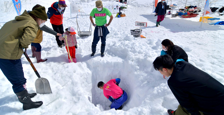 津南の雪下にんじん掘り競争