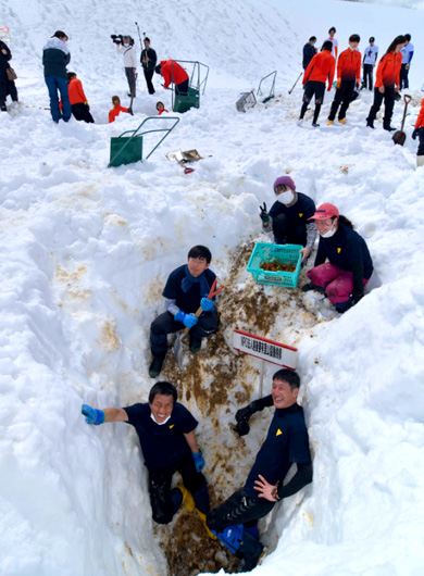 津南の雪下にんじん掘り競争