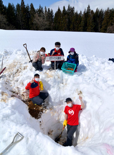 津南の雪下にんじん掘り競争