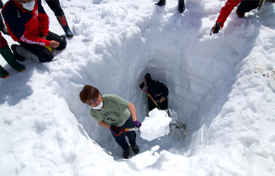 津南の雪下にんじん掘り競争