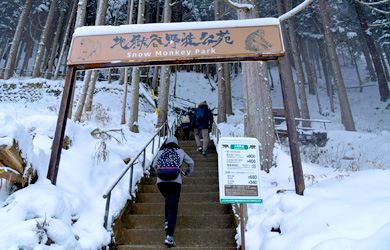 地獄谷野猿公苑