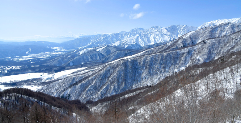 白馬アルプスホテル、白馬乗鞍温泉スキー場、山岳観光リフト