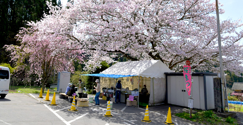 坪井のしだれ桜売店