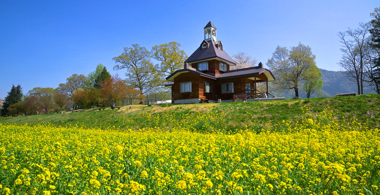 飯山市　菜の花公園