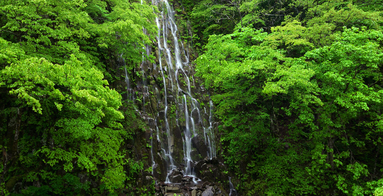 木島平村　樽滝