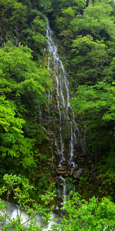 木島平村　樽滝