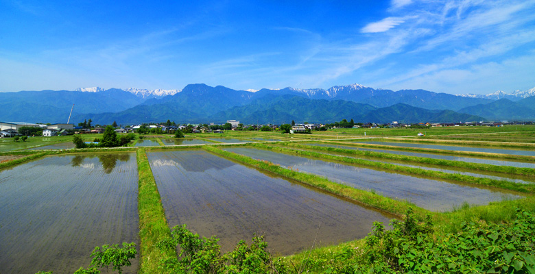 あづみ野 池田町 の田園風景