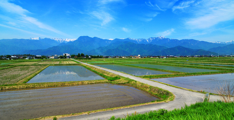 あづみ野 池田町 の田園風景
