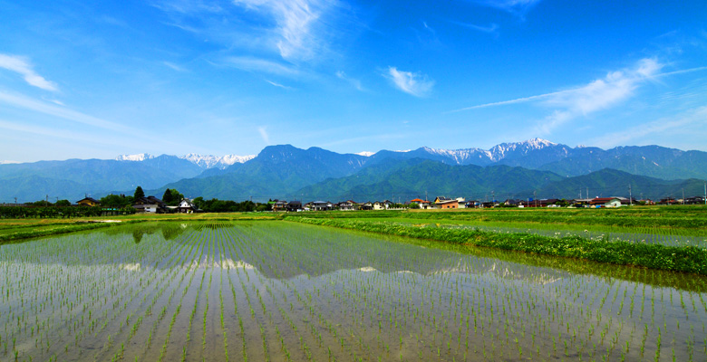 あづみ野 池田町 の田園風景
