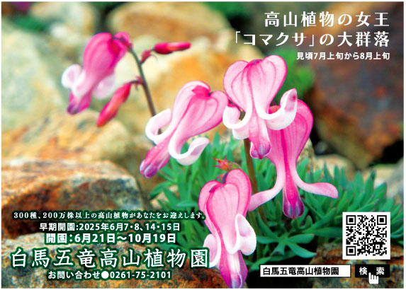 白馬五竜高山植物園