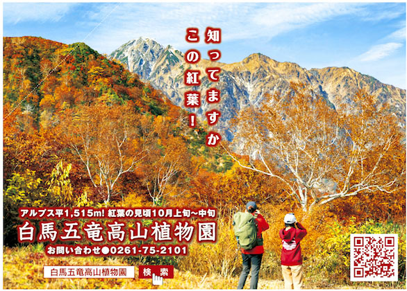 白馬五竜高山植物園