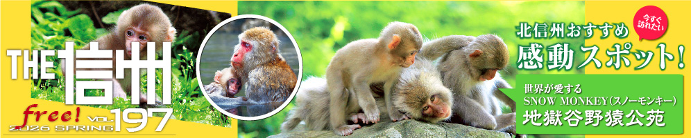 THE信州